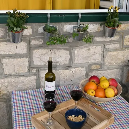 Apartmán Ivan Novigrad (Dalmatia)