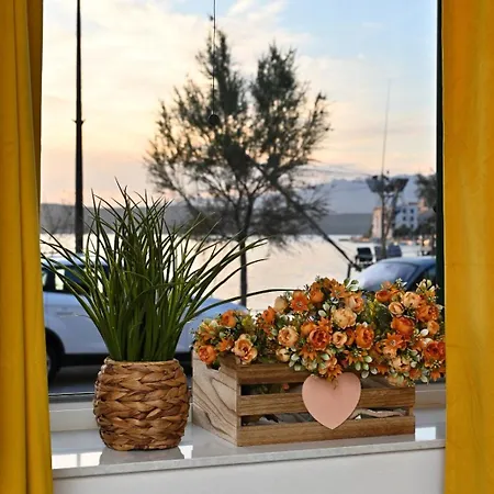 Ivan * Novigrad (Dalmatia)