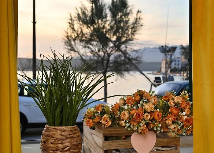 Ivan * Novigrad (Dalmatia)